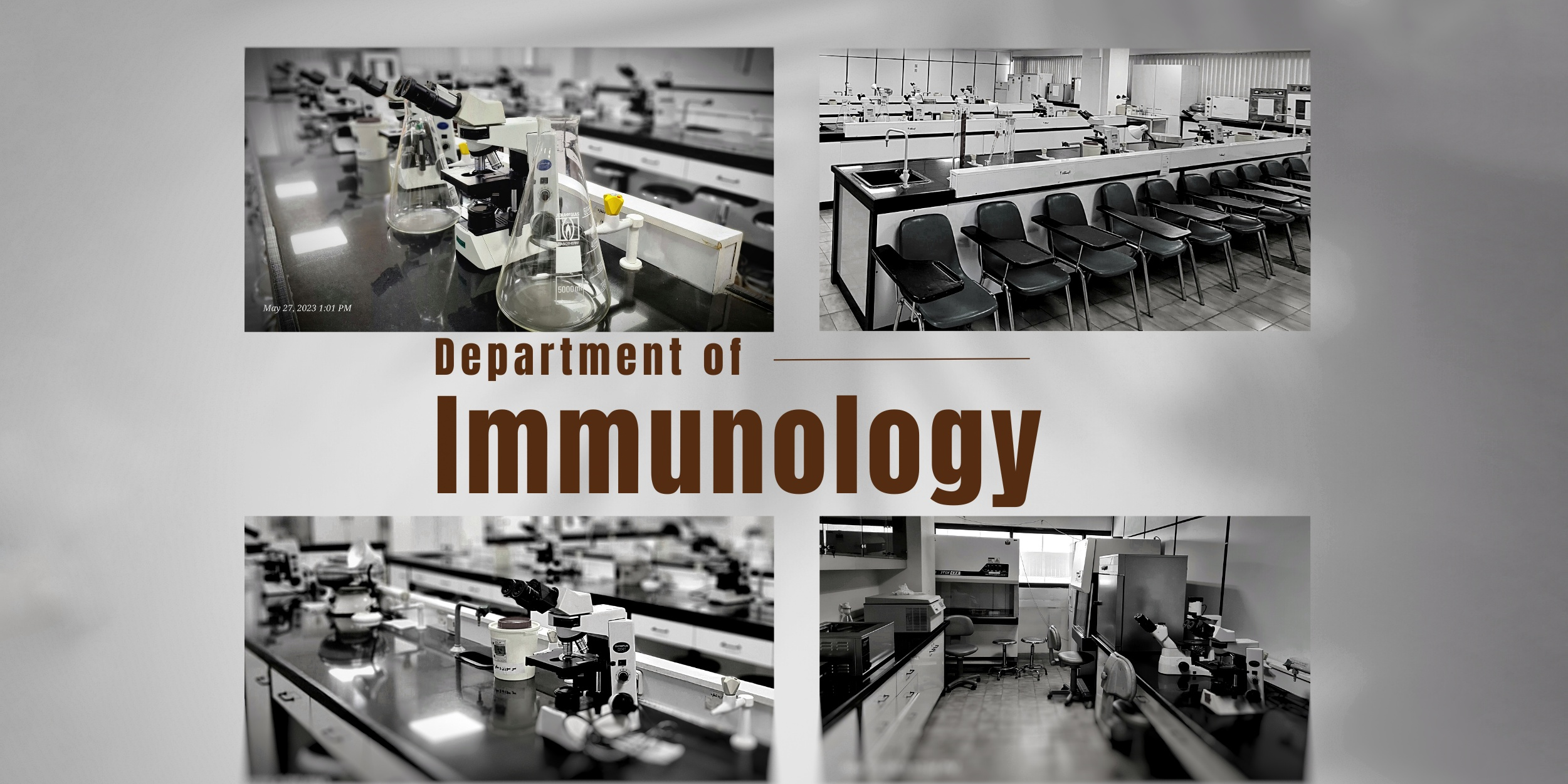 همکف گروه ایمونولوژی department of immunology 4